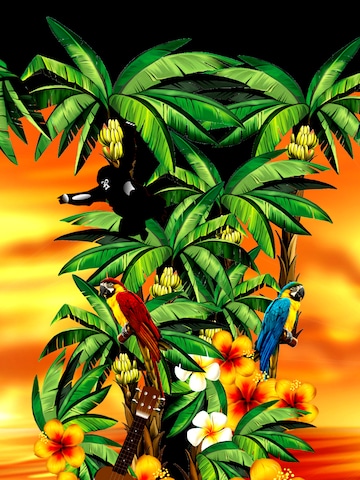 Hawaiihemdshop.de Regular fit Overhemd 'Hawaiian Beauty' in Zwart