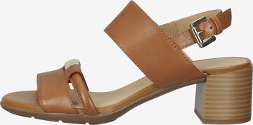 GEOX Sandalen met riem in Bruin