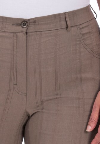 KjBRAND Regular Pants in Brown