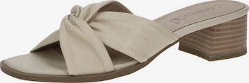 CAPRICE Mules in Beige: front