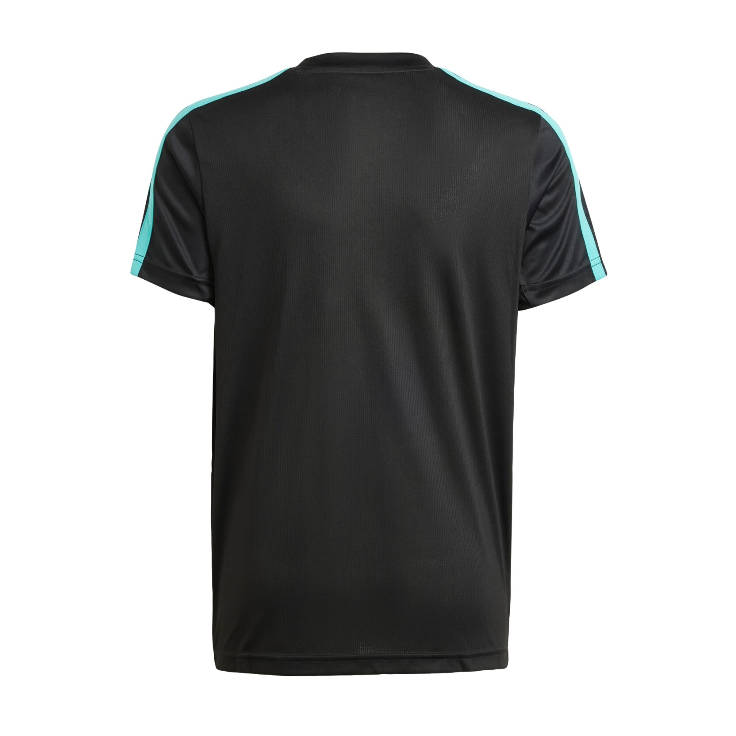 ADIDAS PERFORMANCE Functioneel shirt 'Mercedes - Amg Petronas Formula One Team' in Zwart