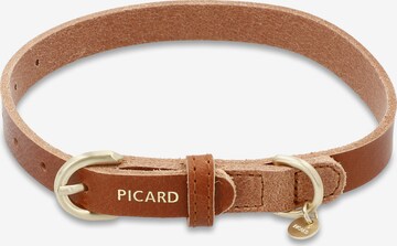 Picard Hundehalsband 'Susi' in Braun: predná strana