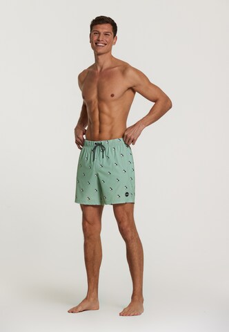 Shiwi Board Shorts 'puffin 4-way stretch' in Grün