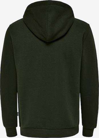 Only & Sons - Ajuste regular Sudadera 'Ceres' en verde