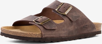 CAMEL ACTIVE Pantolette in Braun: Vorderseite