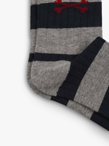 Scalpers Къси чорапи 'Rugby' в сиво