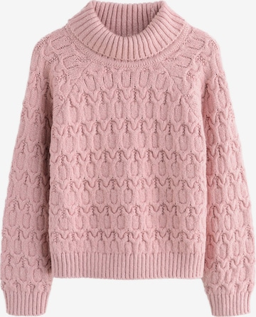 rožinė Next Megztinis: priekis