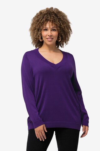 Pull-over Ulla Popken en violet : devant