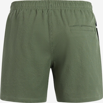 PROTEST Badeshorts 'PRTWytona' in Grün: Vorderseite