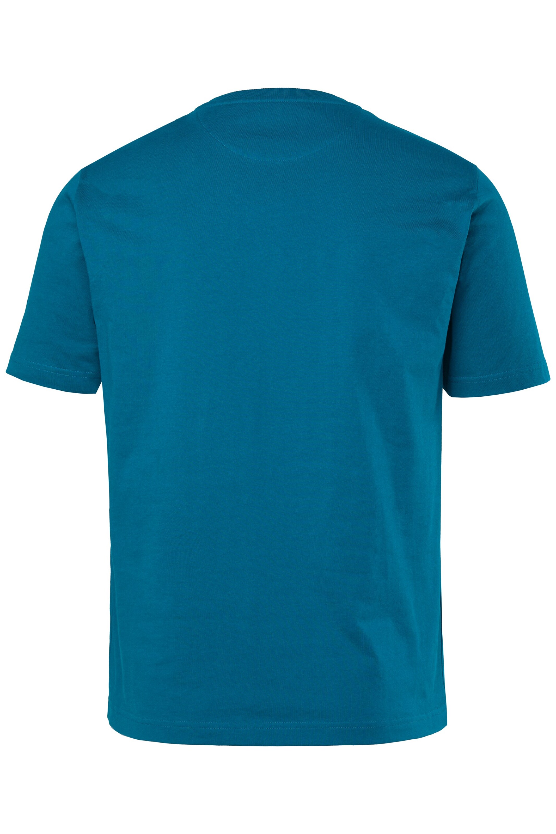 Men Plus Shirt in Blue