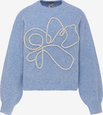 Usha Trui in Blauw: voorkant