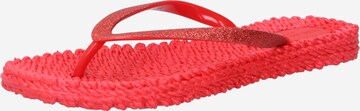 ILSE JACOBSEN Teenslipper 'Cheerful 01' in Rood: voorkant