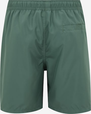 BJÖRN BORG Kratke kopalne hlače | zelena barva