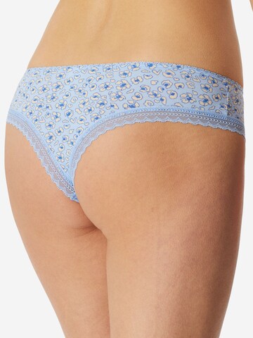 SCHIESSER String ' Ultra Modern ' in Blue