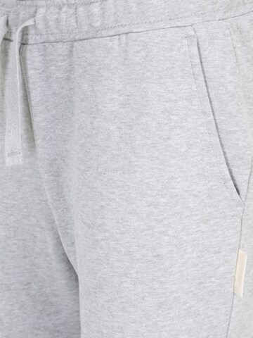 BJÖRN BORG Tapered Sports trousers 'CENTRE' in Grey