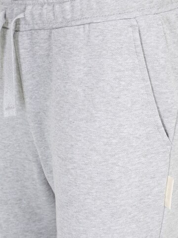 BJÖRN BORG Tapered Sporthose 'CENTRE' in Grau