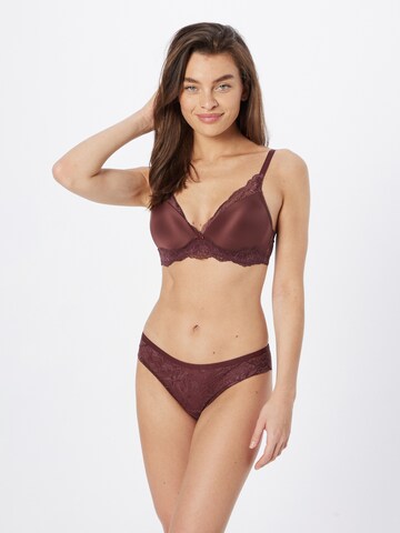 Regular Slip 'Amourette Charm' TRIUMPH en marron