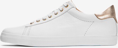 Kazar Sneakers in Gold / Off white, Item view