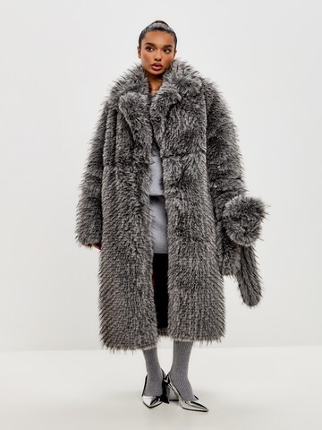 CESARE GASPARI Winter coat in Grey