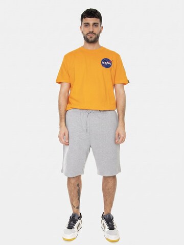 DICKIES Baggy Hose 'Mapleton'‌‌‌‌ in Grau: Vorderseite