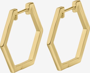 Nana Kay Earrings in Gold: front