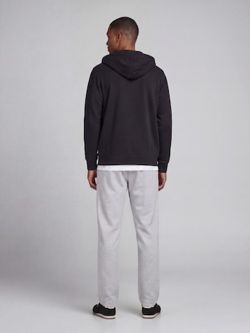 Tapered Pantaloni 'JREBCARL CREST' di JJ Rebel in grigio