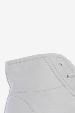Gucci Sneakers & Trainers in 36,5 in White