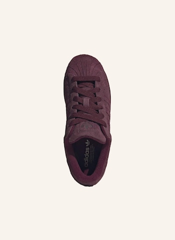 Sneaker bassa 'Superstar II' di ADIDAS ORIGINALS in rosso