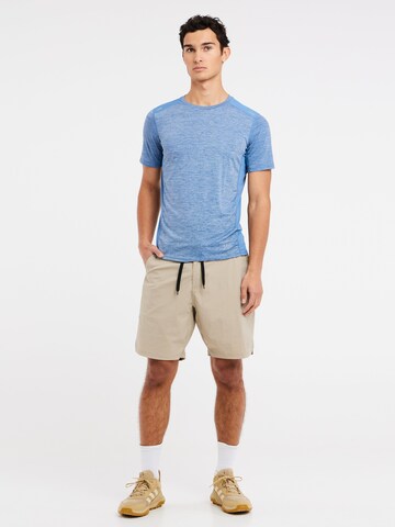 PROTEST Regular Pants 'PRTNAVAGIO' in Brown