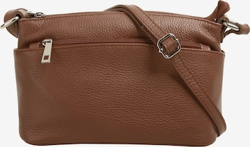 Cluty Crossbody Bag in Brown: front