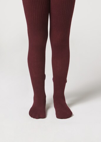 CALZEDONIA Tights in Red: front