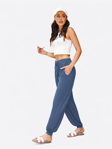 AOTTORI Regular Pants in Blue