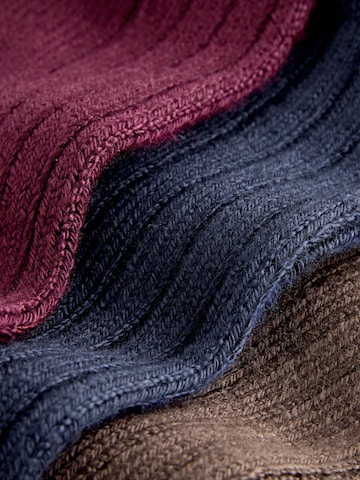 Next Носки в Синий