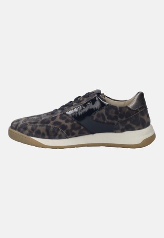 JOSEF SEIBEL Sneaker 'Arleen 04' in Beige