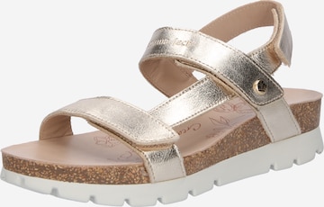 PANAMA JACK Sandals in Gold: front