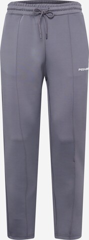 Pegador Normální Kalhoty – šedá: přední strana