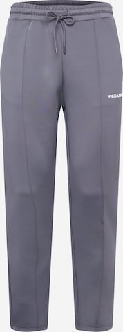 Pegador Regular Pants in Grey: front