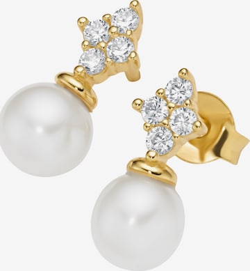 Giorgio Martello Milano Ohrstecker in Gold: Vorderseite