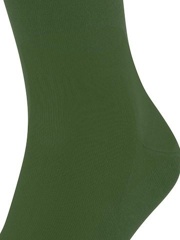 FALKE Socks in Green