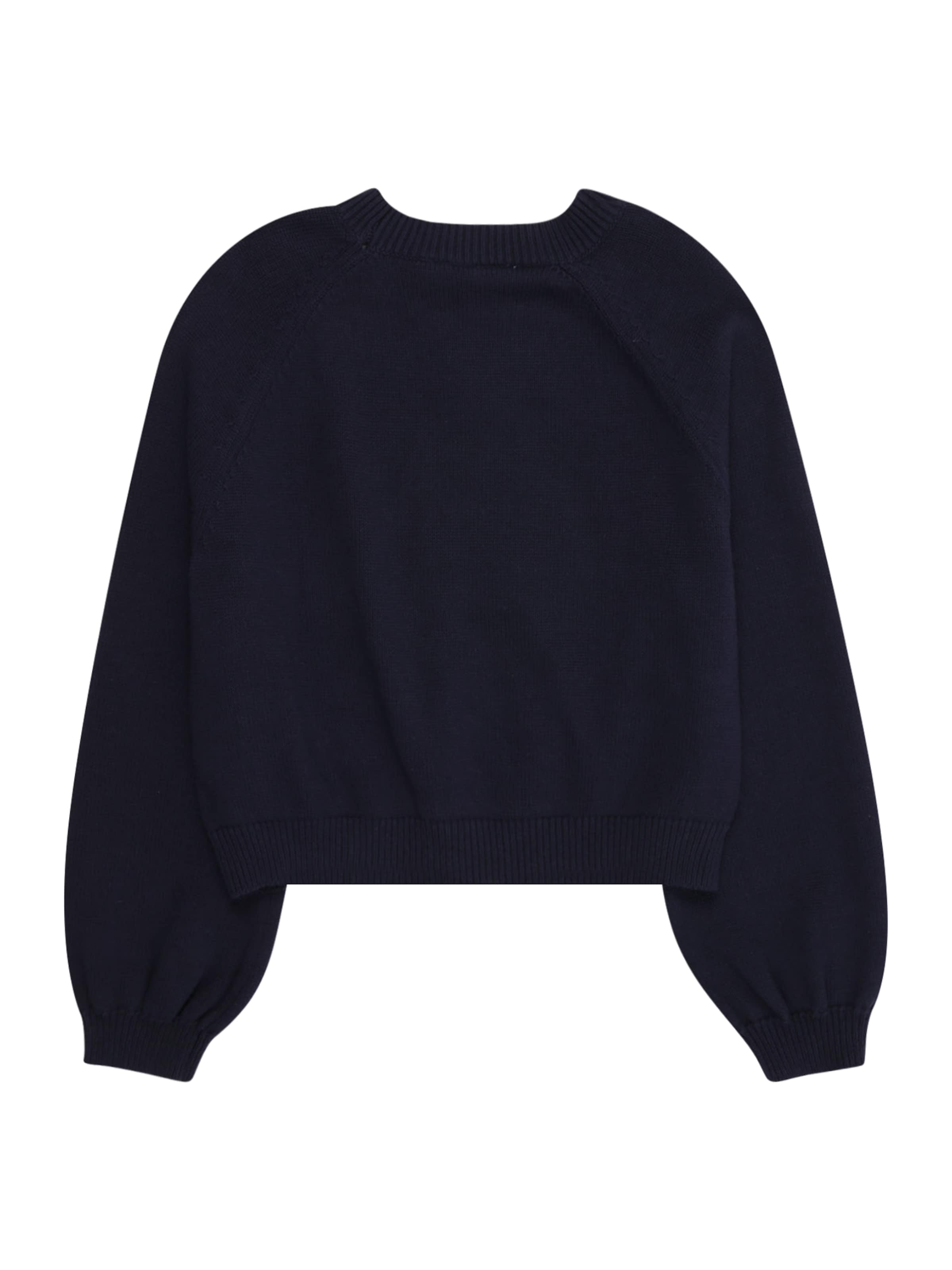 GAP Свитер 'BRANNAN' в Синий