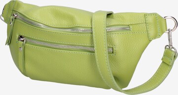 Roberta Rossi Fanny Pack in Green: front