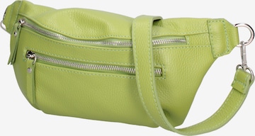 Roberta Rossi Fanny Pack in Green: front