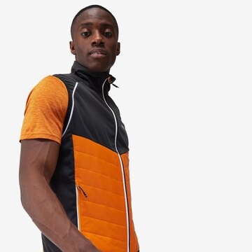 REGATTA Outdoor jacket 'Steren' in Orange