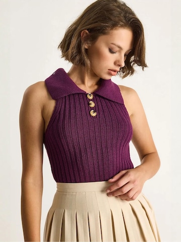 Bianco Lucci Sweater in Purple