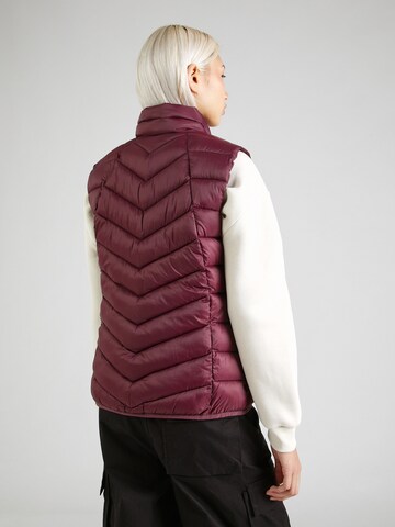 CMP Sports Vest in Red