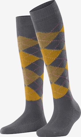 BURLINGTON Overknee Strümpfe 'Whitby' in Grau: Vorderseite