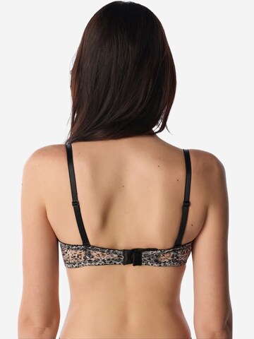 Penti Klasičen Nedrček 'BHs & Bralettes' | mešane barve barva