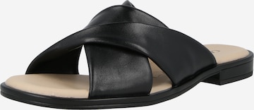 CAPRICE Пантолеты в Черный: спереди