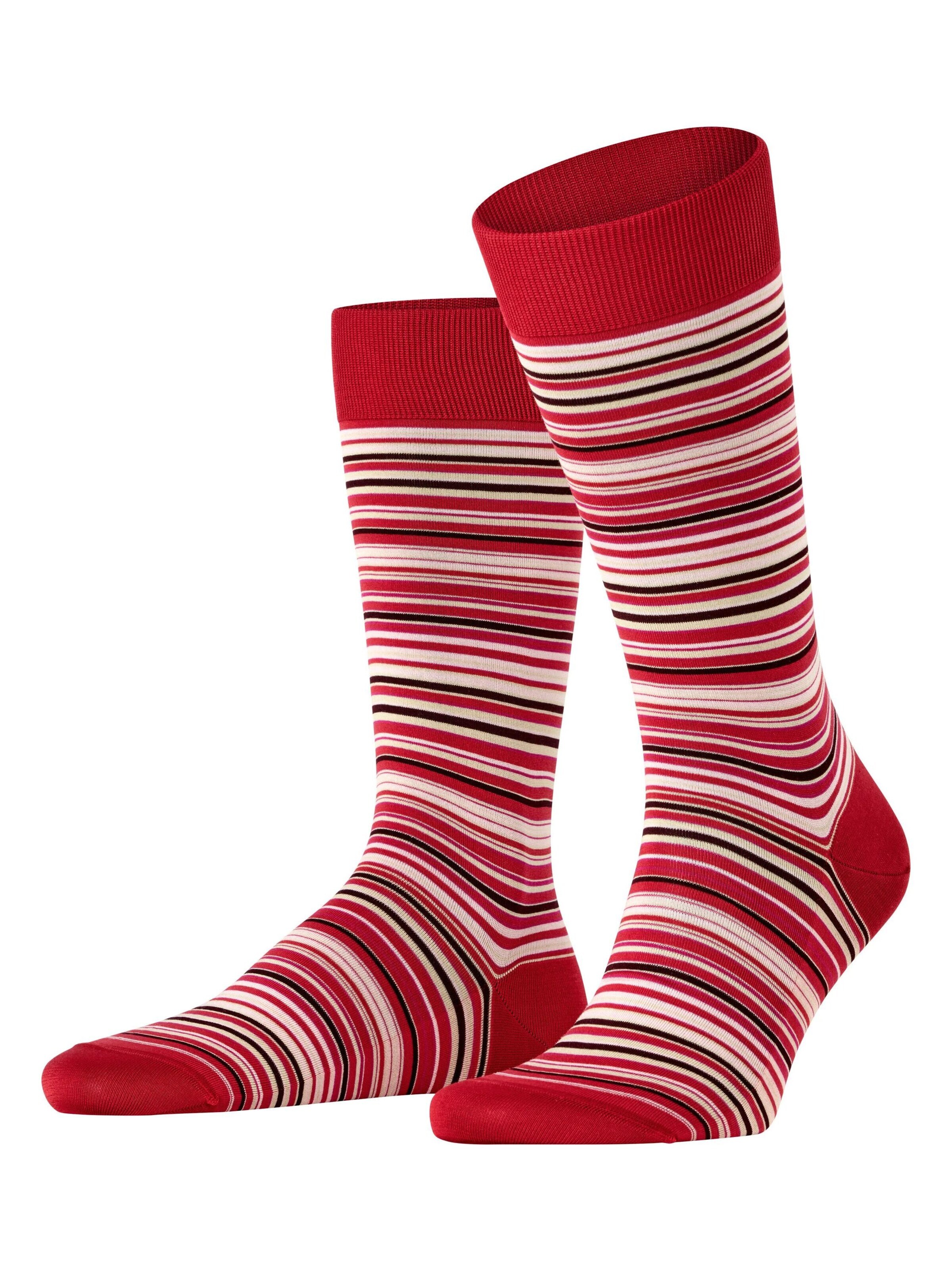 FALKE Socken 'Microblock'‌‌‌‌‌‌‌‌ in Rot: Vorderseite