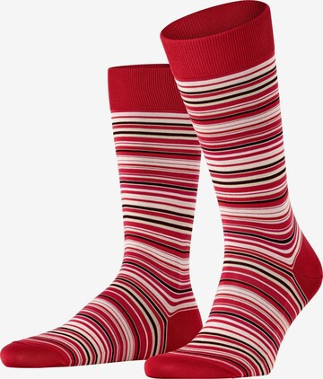 FALKE Socken 'Microblock' in Rot: Vorderseite